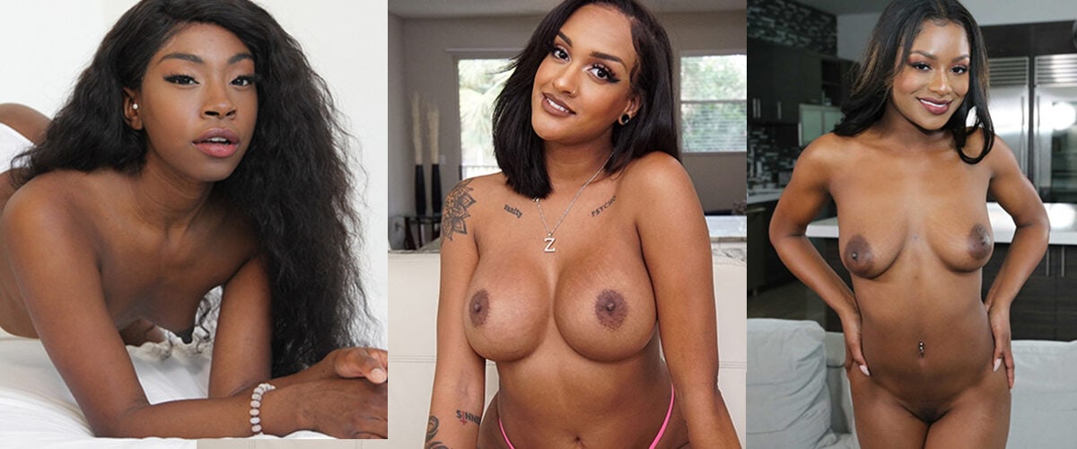 Ebony Busty Porn Stars - The Top 10 Hottest Ebony / Black Pornstars (2022)